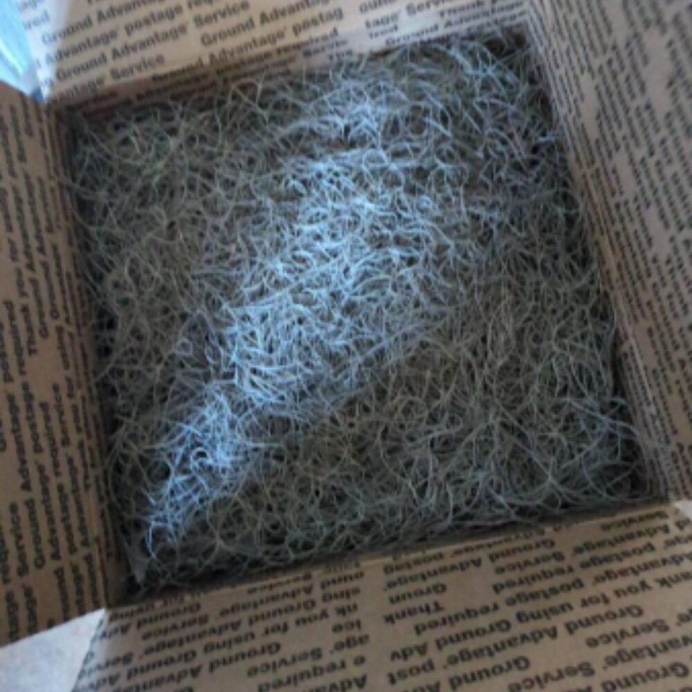 What 4.5 pounds of Natural Spanish Moss Looks Like!